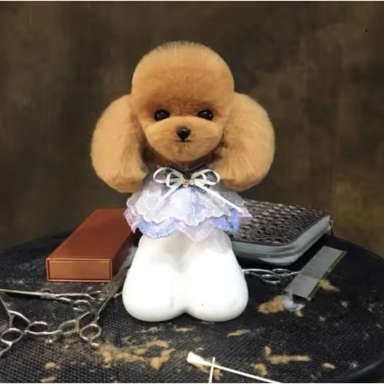 Mr. Jiang Teddy Head Hair - kailis kirpimo manekenui, rudas Mr. Jiang Teddy Head Hair - kailis kirpimo manekenui, rudas