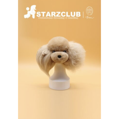 Starzclub kailis kirpimo manekenui, abrikosinis Starzclub kailis kirpimo manekenui, abrikosinis